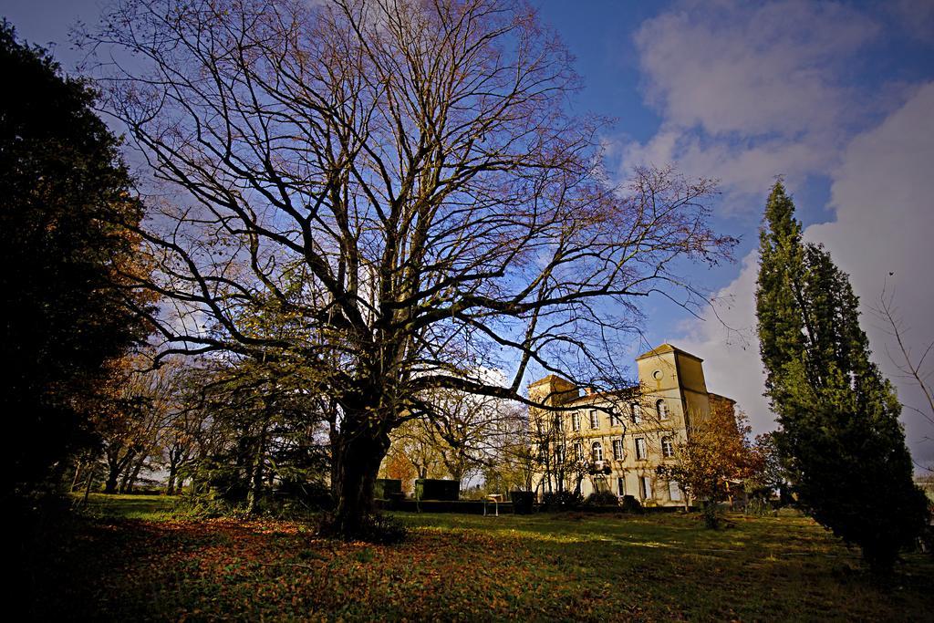 Domaine de la Célarié Mouzieys-Teulet Exterior foto
